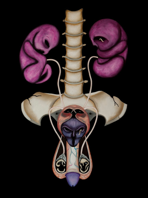 Gli organi del degenere II