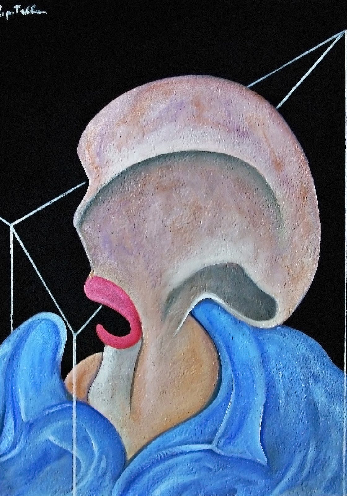 Celenterato